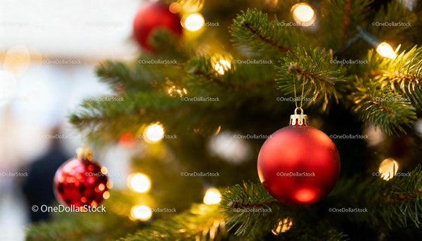 Red Christmas Baubles Hanging on Green Pine Tree