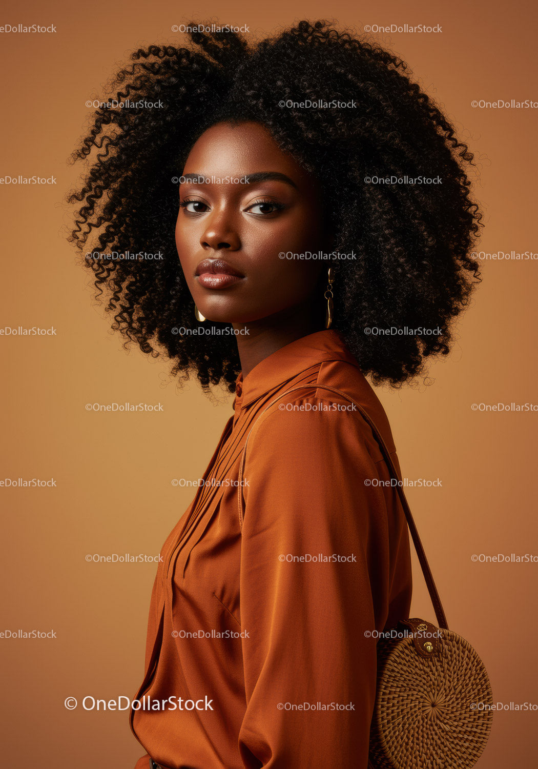 Black Woman with Curly Hair Fashion Portrait with Warm Background