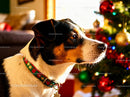 Dog with Festive Collar Near Decorated Christmas Tree