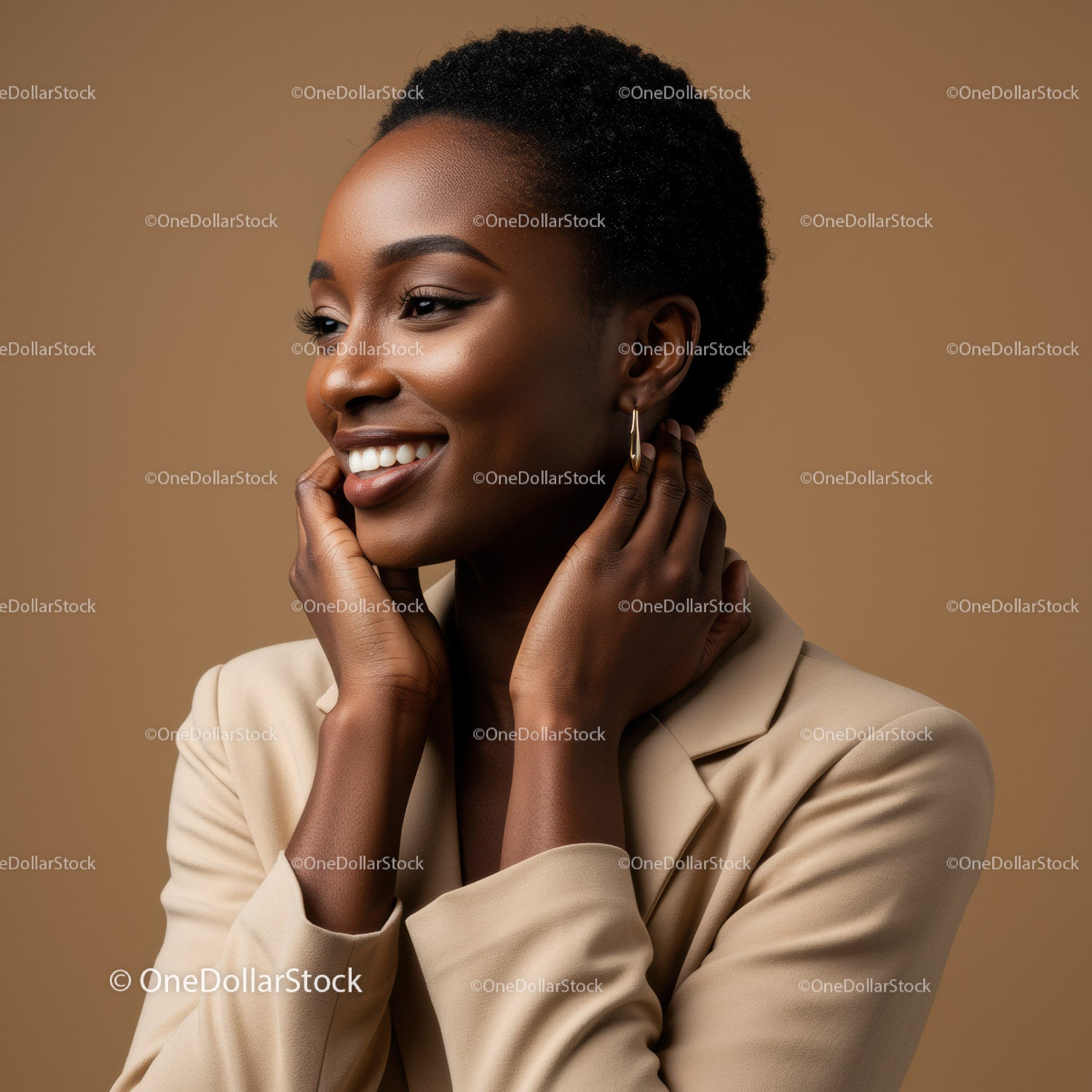 Elegant African American Woman with Short Natural Hair Wearing Blazer