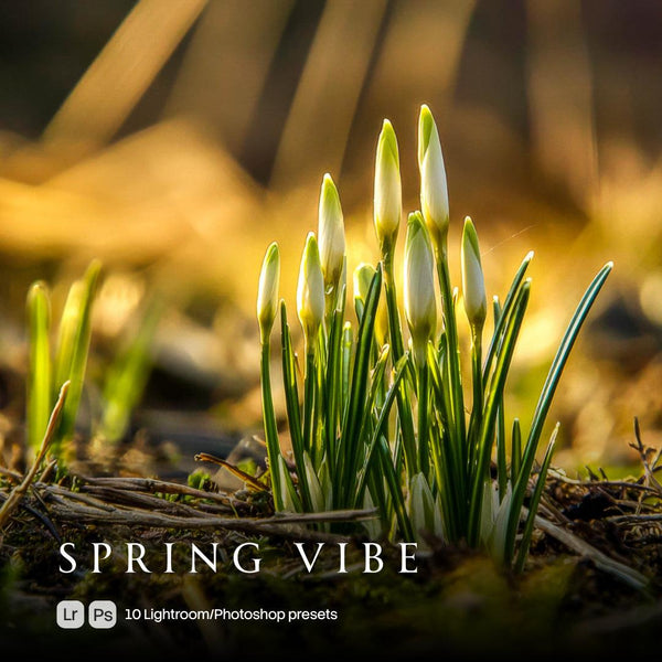 Spring Vibe Presets (10 XMP files)