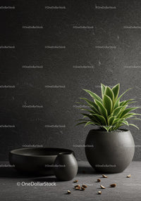 Elegant Indoor Plant in Black Pot with Green Foliage Against Dark Background