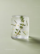 Herbs Frozen Inside Clear Ice Cube on Soft Background