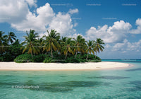 Tropical Island with Palm Trees and Clear Turquoise Waters