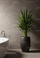 Elegant Indoor Green Plant in Modern Black Vase for Stylish Home Decor