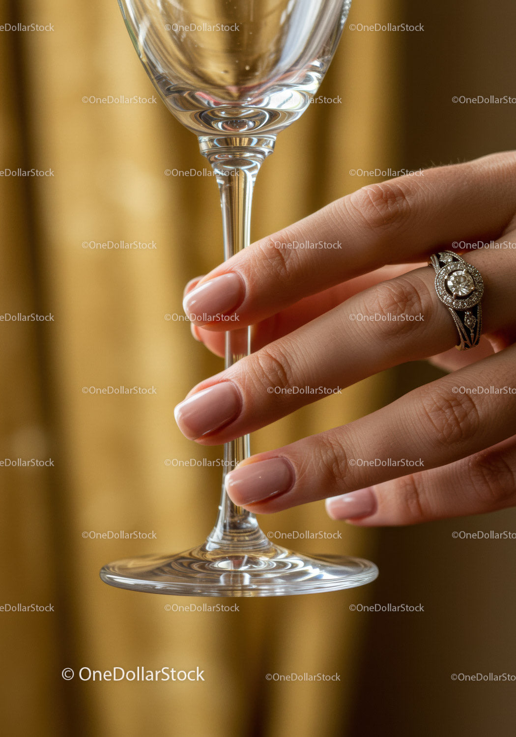 Woman's Hand with Elegant Ring Holding Wine Glass
