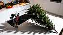 Fresh Christmas Tree Ready for Holiday Decorating