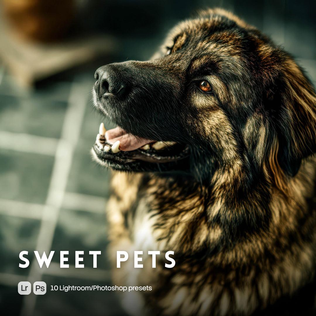 Sweet Pets Presets (10 XMP files)