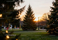 Christmas decorations in park at sunset glowing warmly
