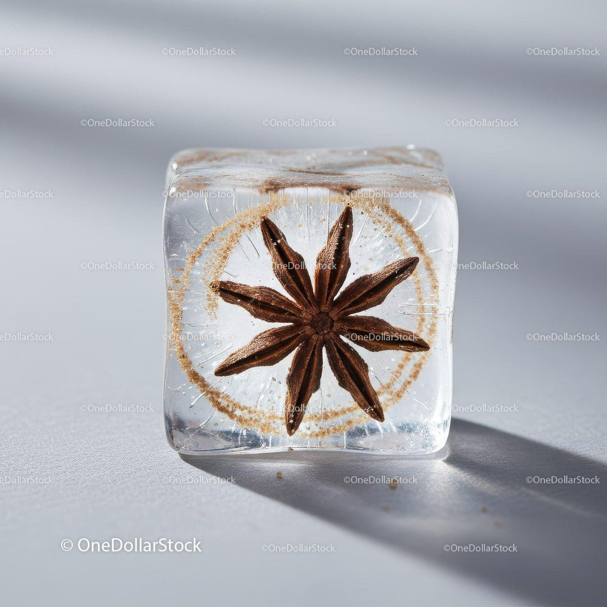 Star Anise Frozen Inside Transparent Ice Cube Closeup