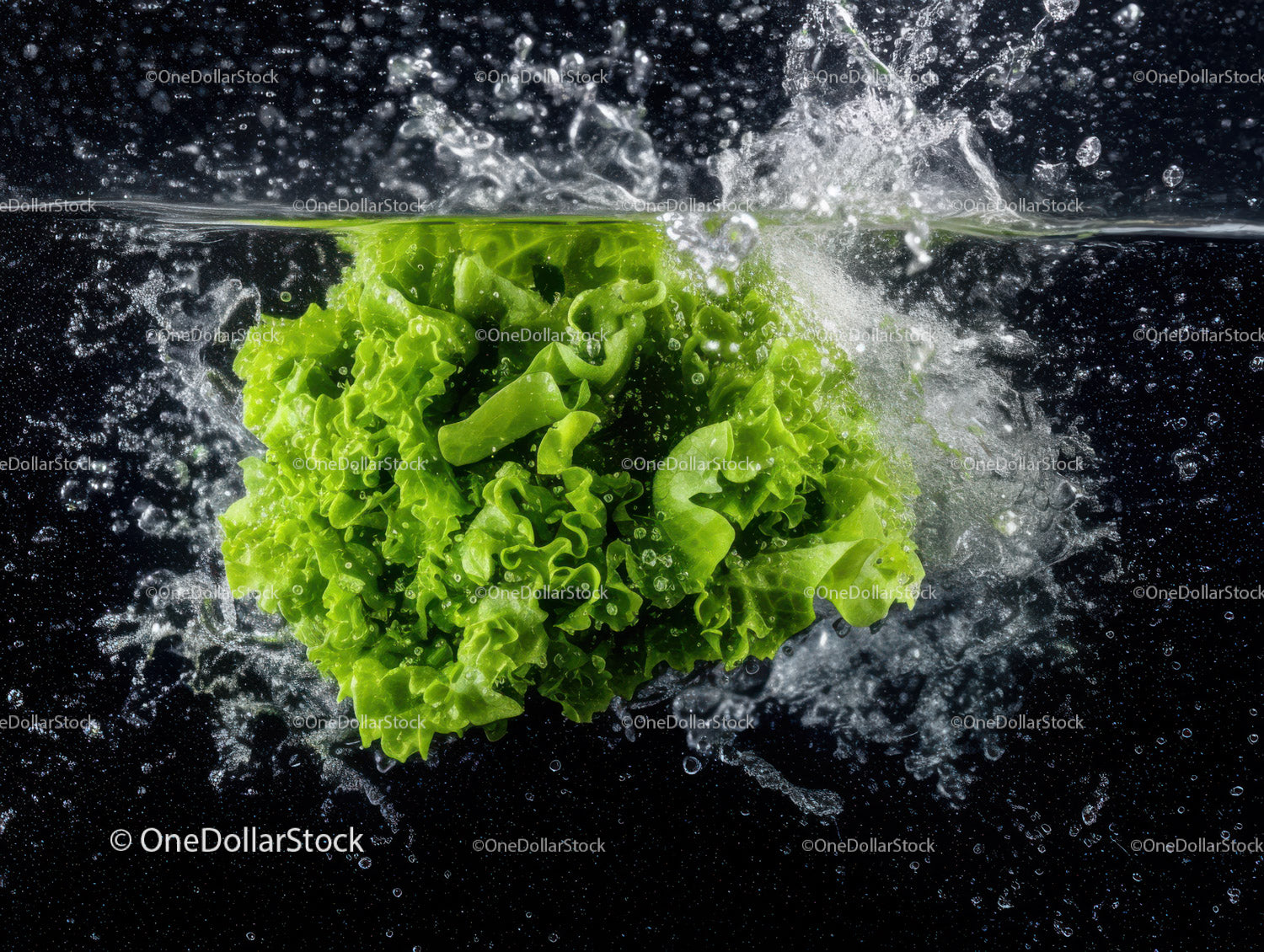 Fresh Green Lettuce Splash in Water with Dynamic Motion