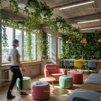 Stylish Office Space with Lush Greenery and Vibrant Lockers