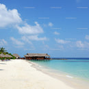 Tropical Beach with Overwater Bungalows and Clear Blue Water