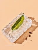 Green Leaf Embedded in Transparent Ice Block on Beige
