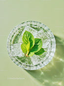 Refreshing glass of ice water with fresh mint leaves