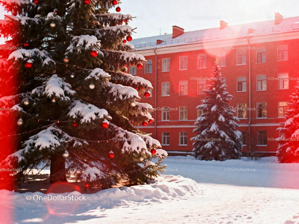 Snow-Covered Christmas Tree Decorated with Ornaments Outdoors