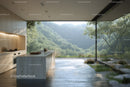 Modern Kitchen with Scenic Forest View in Natural Light