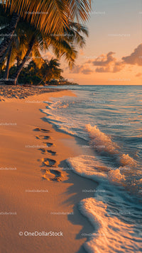 Sunset Over Tropical Beach with Palm Trees and Clear Ocean Water