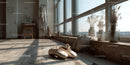 Elegant Ballet Shoes on Wooden Floor Near Sunlit Studio