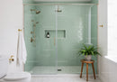 Modern bathroom with glass shower and potted fern