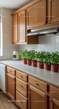 Wooden Kitchen Cabinets with Potted Green Plants and White Tiled Backsplash