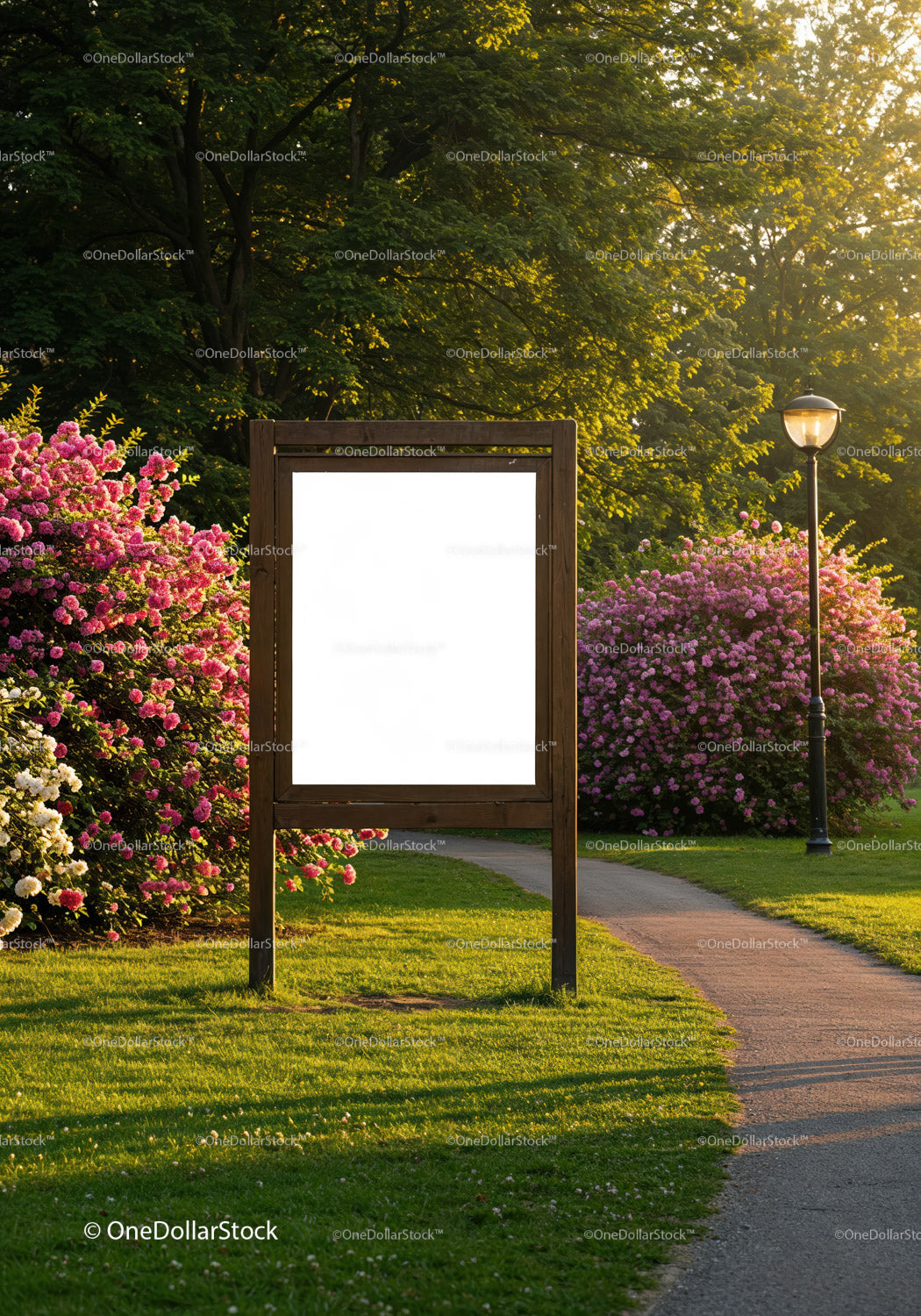 Empty Wooden Signboard in Sunny Park with Blooming Flowers