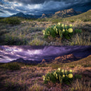 desert photography edit with Dark Namib Lightroom presets
