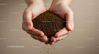 Hands gently holding coffee granules pouring down