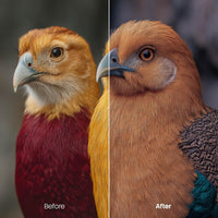 Retro Color Fade Night Presets (10 XMP files)