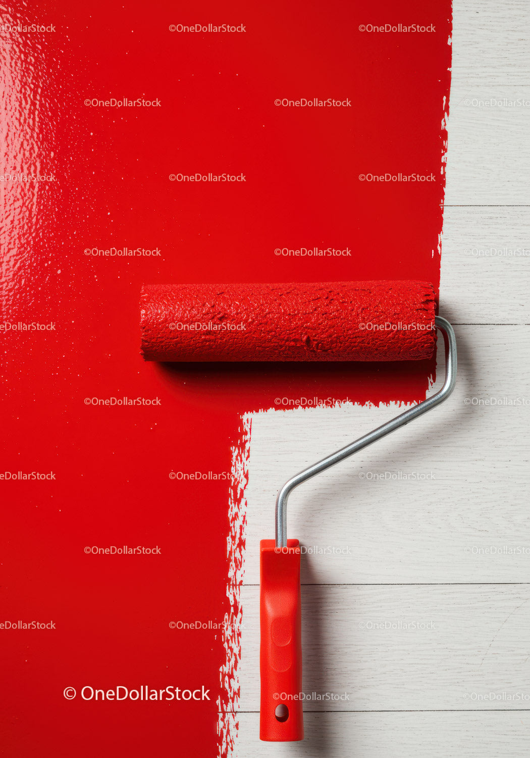 Red Wall Painting with Roller Brush in Home Renovation Scene