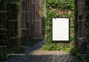 Blank billboard on ivy-covered brick wall in alley