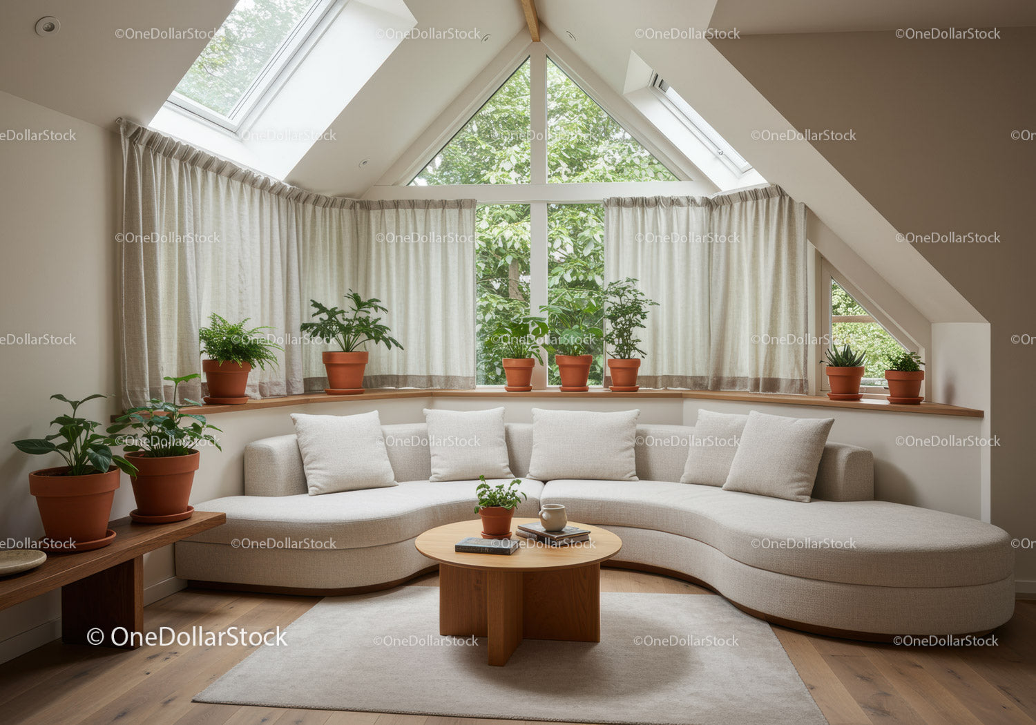 Cozy living room with curved sofa and indoor plants
