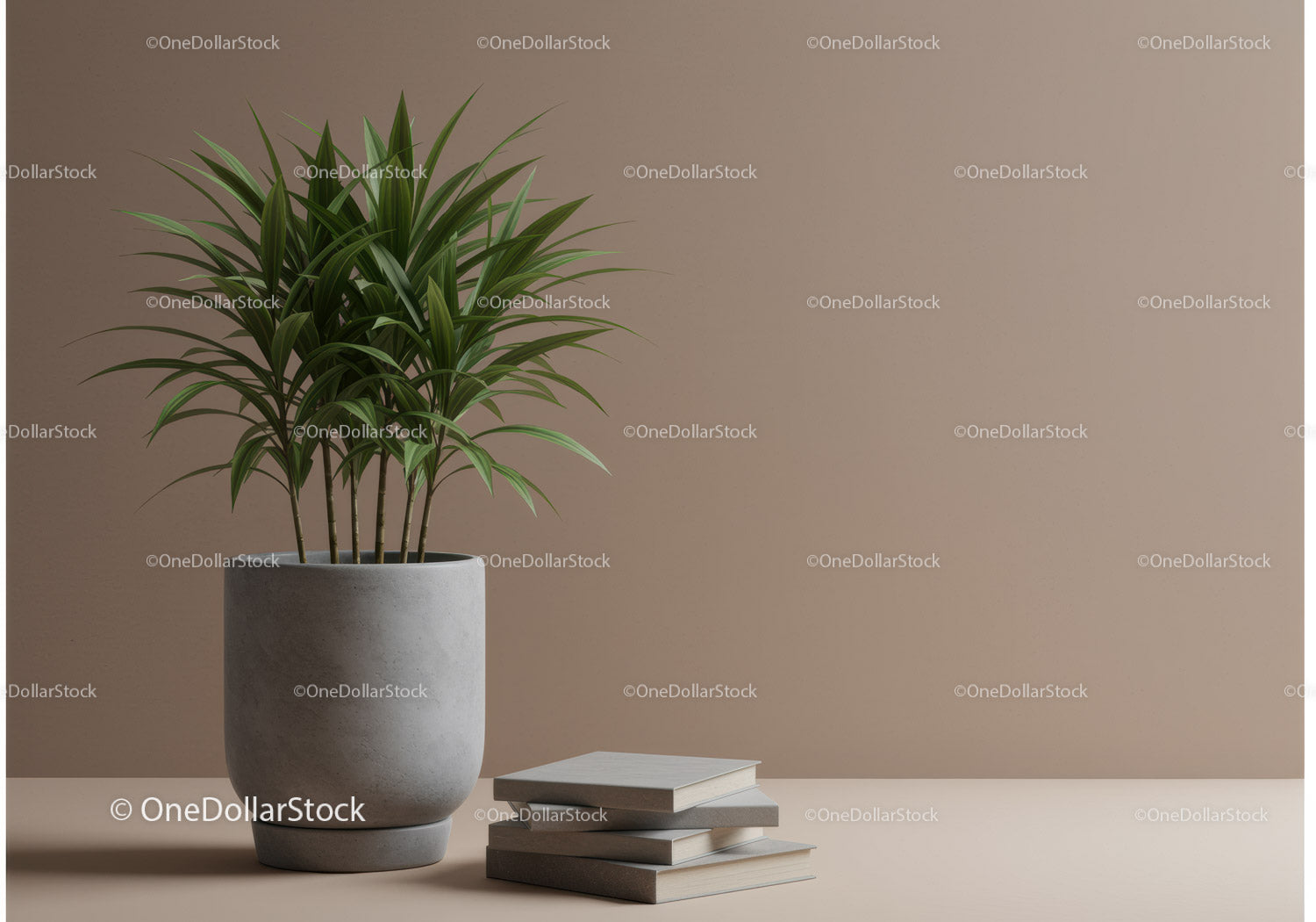 Modern Indoor Green Plant in Gray Pot with Minimalist Decor