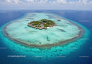 Tropical Island with Overwater Bungalows and Crystal Clear Waters