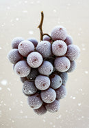 Frozen grapes cluster covered with frost crystals