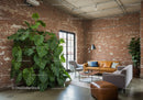 Stylish Modern Living Room with Green Foliage and Cozy Seating