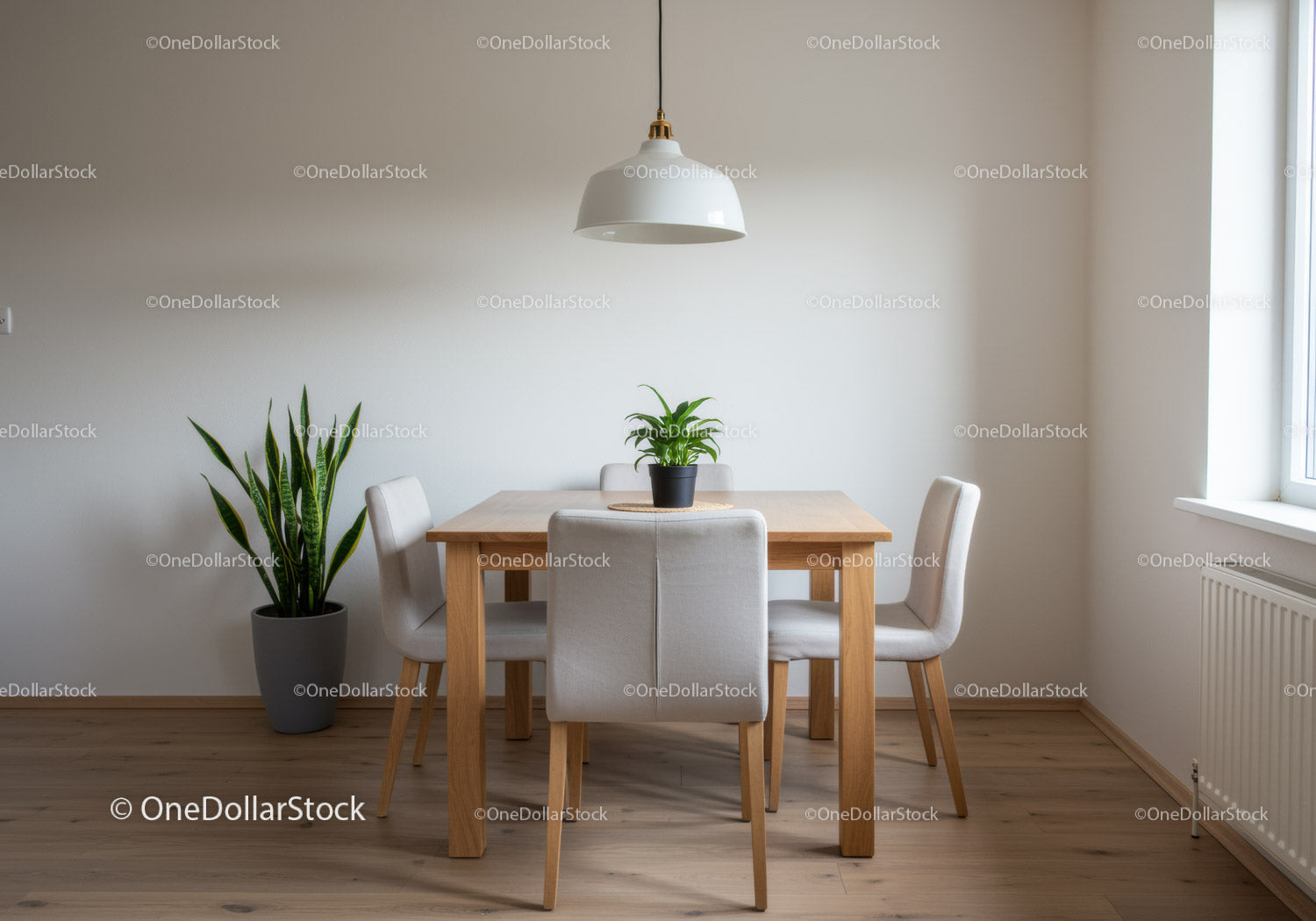 Modern Dining Area with Wooden Table and Indoor Plants