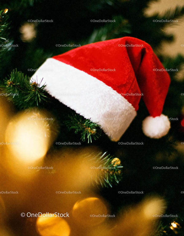 Classic Santa Hat Resting on Christmas Tree Branch