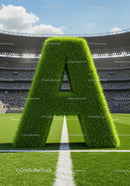Grass Covered Letter A On Football Field Center Line