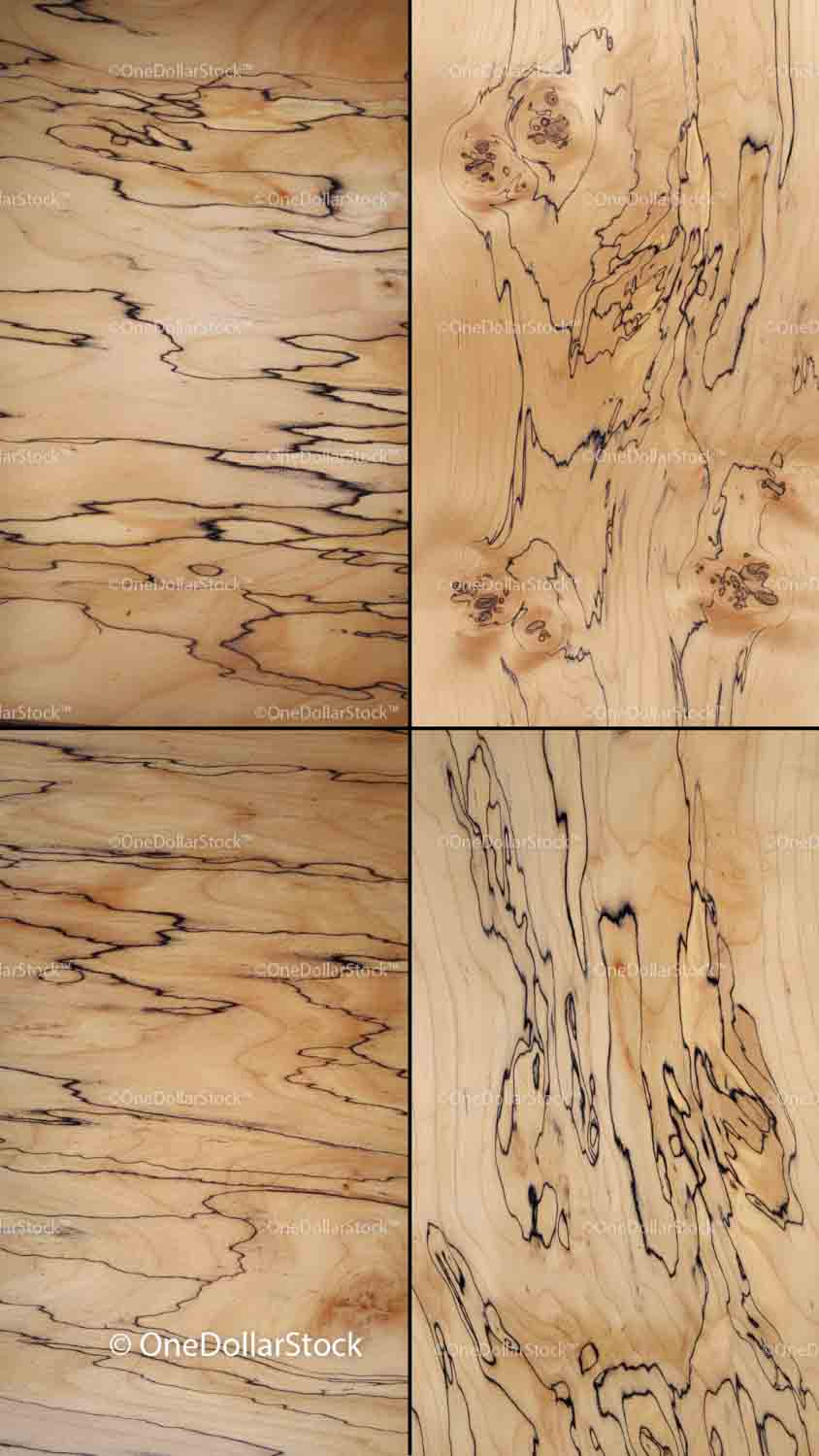 Spalted Maple Wood Textures preview 5