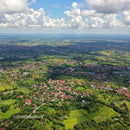 Aerial Perspective of Green Countryside with Suburban Houses and Trees