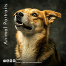 Animal Portraits LUT Pack preview