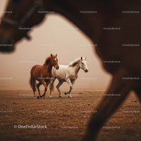 Majestic Herd of Brown Horses Running in Sunset Landscape