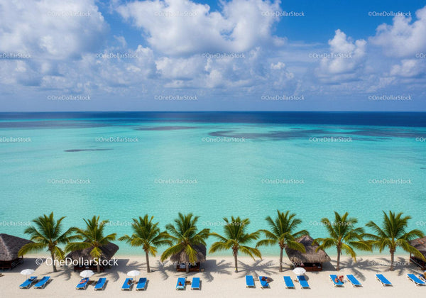 Tropical Beach with Palm Trees and Clear Turquoise Water