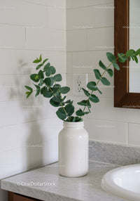 Modern Bathroom with Green Eucalyptus in White Vase