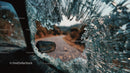 Abandoned Vintage Car with Broken Glass at Sunset