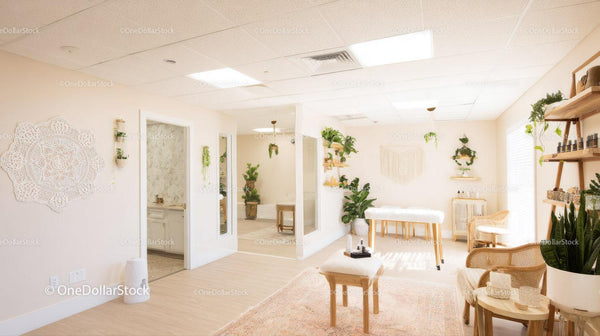 Bright Wellness and Spa Room with Indoor Plants and Natural Light
