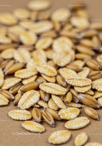 Close up of oat groats with oat flakes on wooden surface
