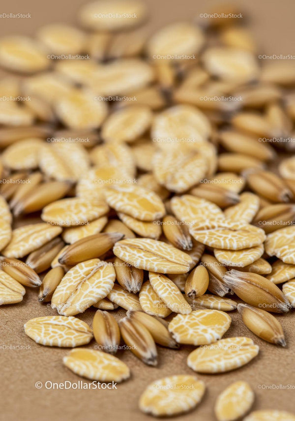 Close up of oat groats with oat flakes on wooden surface