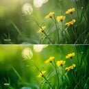 Before and after Dreamy Woodland LUT Pack effect